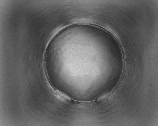 X0000051921392200507011548