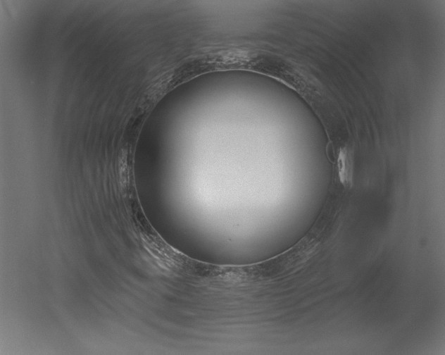 X0000051921395200507011547
