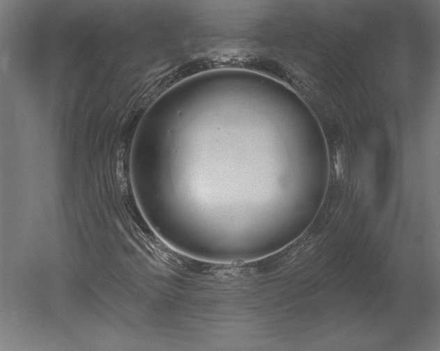 X0000051921396200507011547