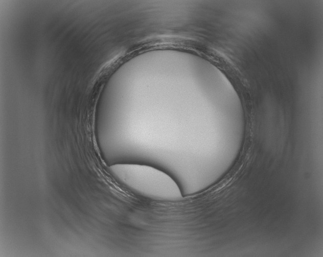 X0000051921403200507011547