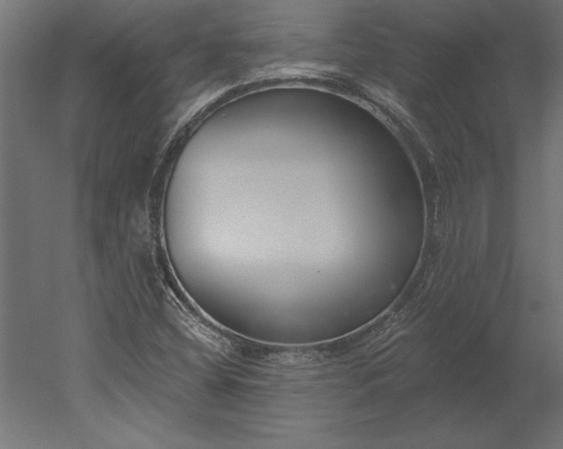 X0000051921404200507011547