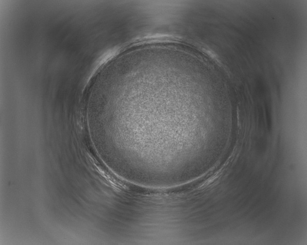 X0000051921405200507011547