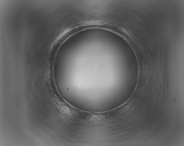 X0000051921406200507011547