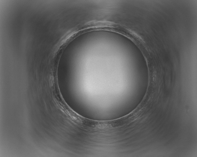X0000051921407200507011548