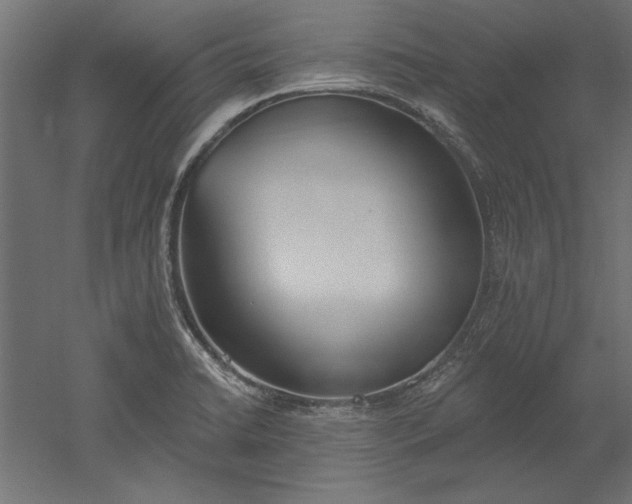 X0000051921422200507011548