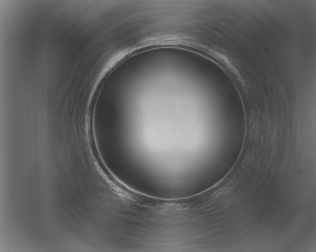 X0000051921424200507011548