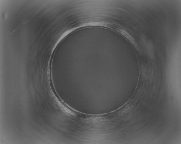 X0000051921428200507011548