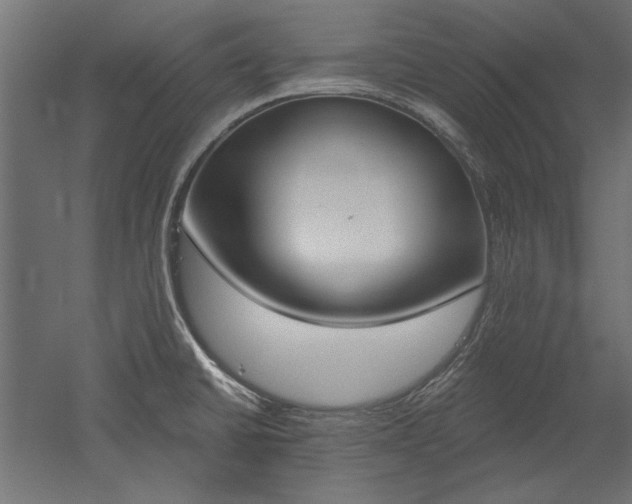 X0000051921430200507011548