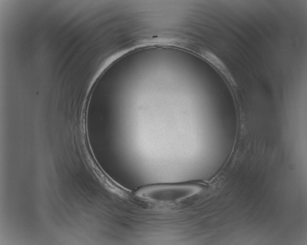 X0000051921436200507011548