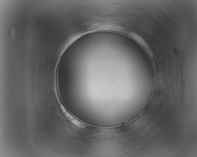 X0000051921439200507011548