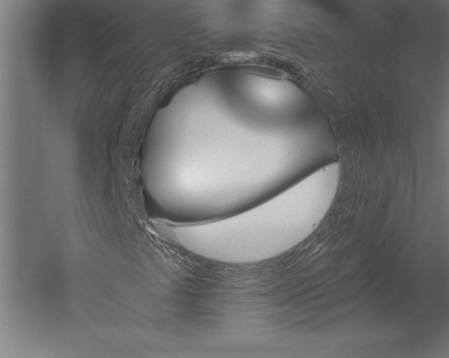 X0000051921441200507011547