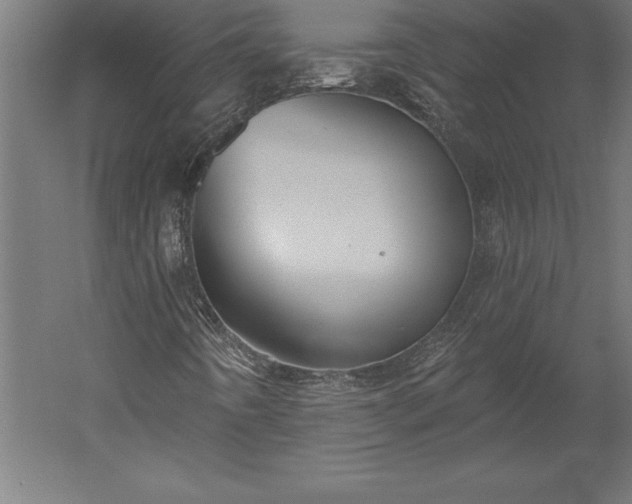 X0000051921442200507011547