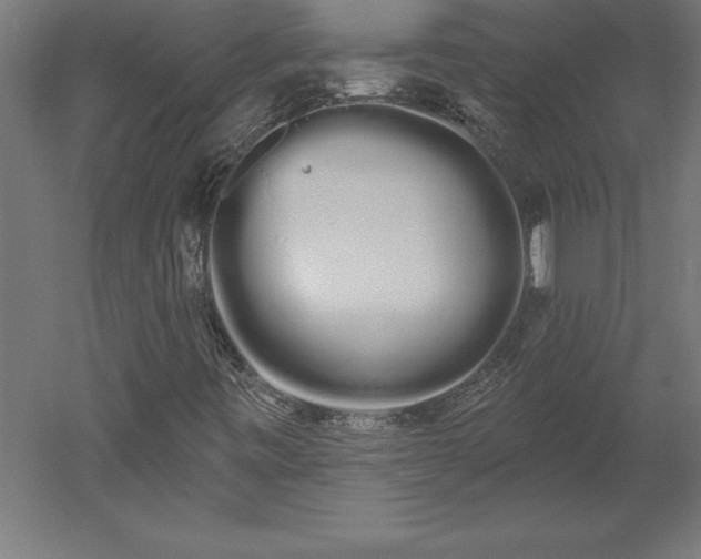 X0000051921443200507011547