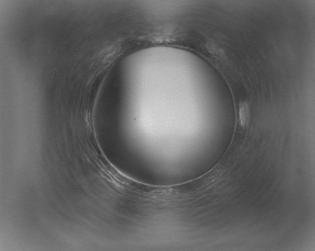 X0000051921444200507011547
