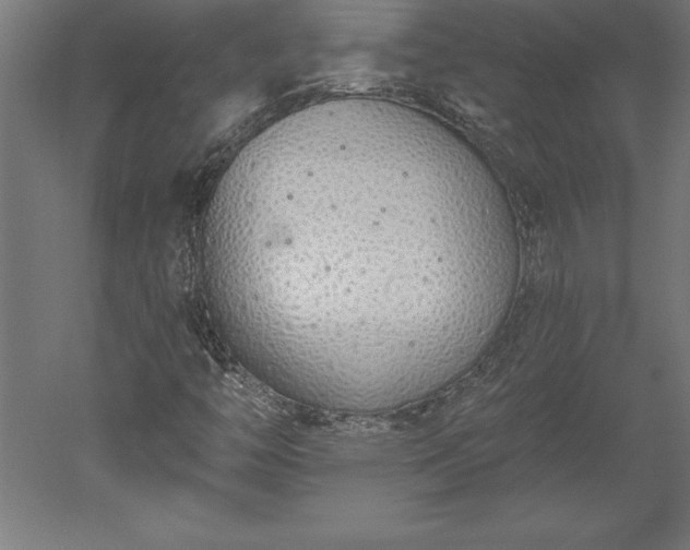 X0000051921446200507011547