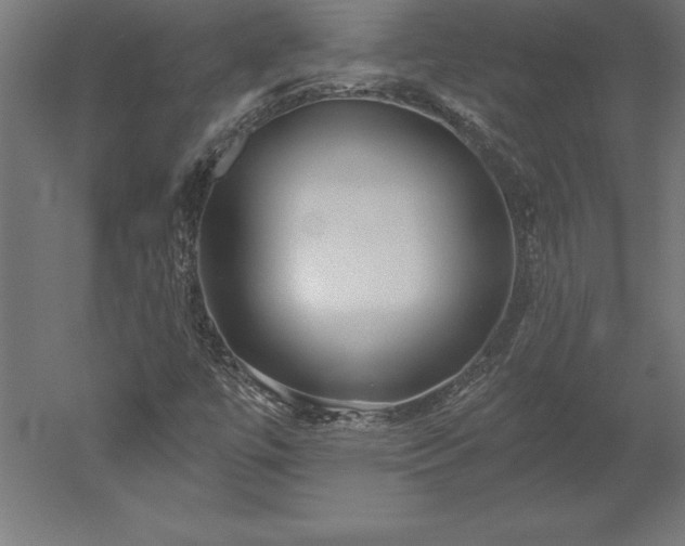 X0000051921447200507011547