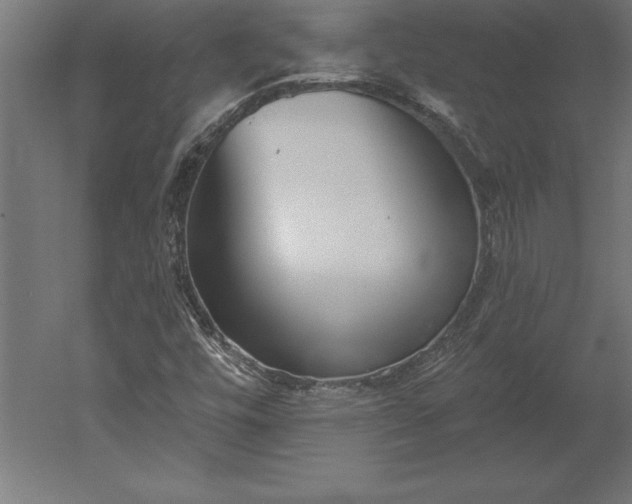 X0000051921448200507011547