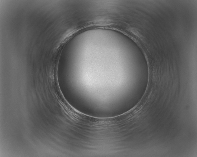 X0000051921451200507011547