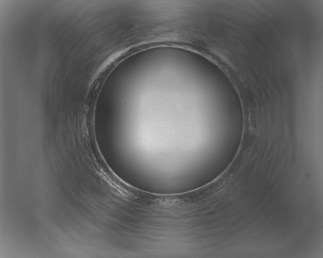 X0000051921452200507011547