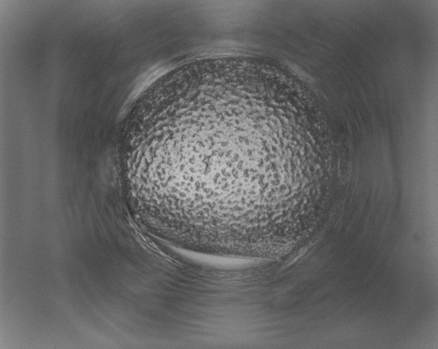 X0000051921453200507011547