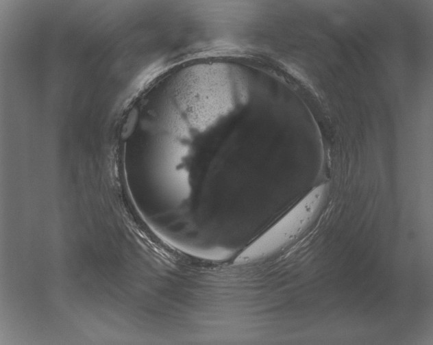 X0000051921455200507011547