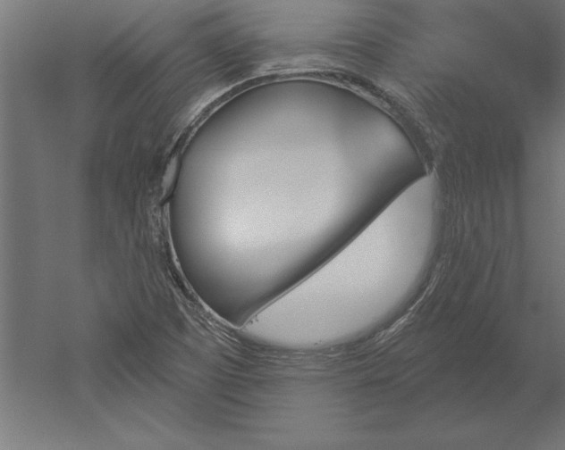 X0000051921457200507011547