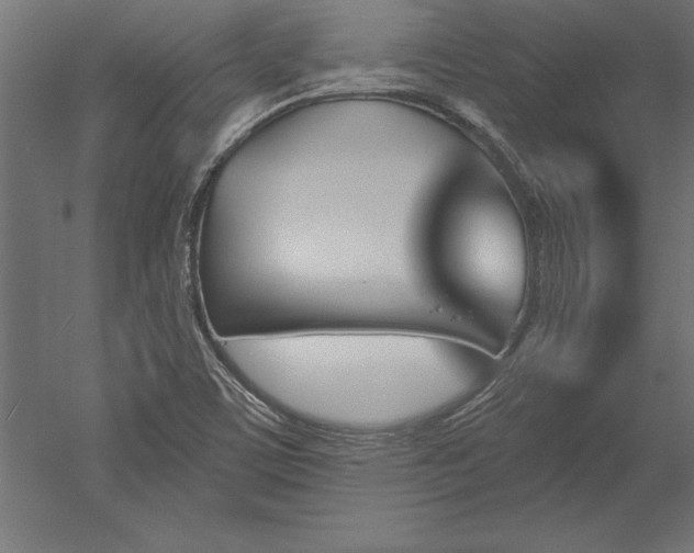 X0000051921459200507011547