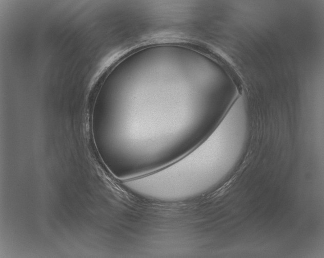 X0000051921461200507011547