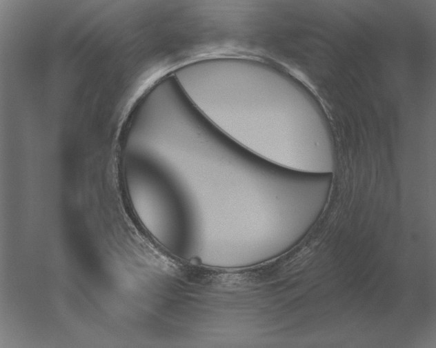 X0000051921463200507011547