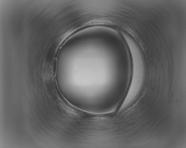 X0000051921465200507011547