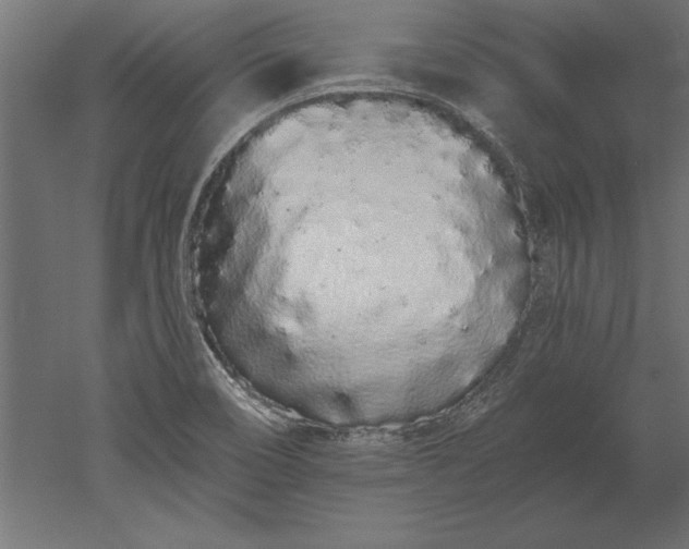X0000051921466200507011547