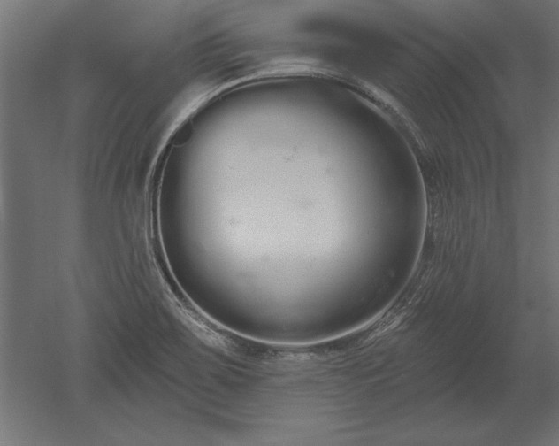 X0000051921467200507011547