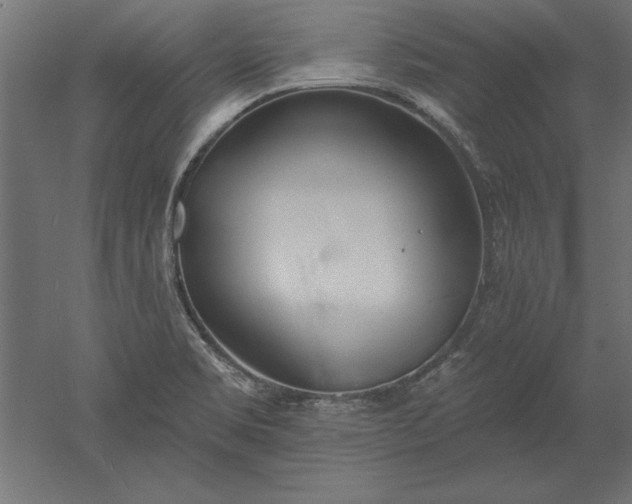 X0000051921469200507011547