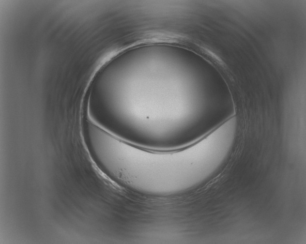 X0000051921471200507011547