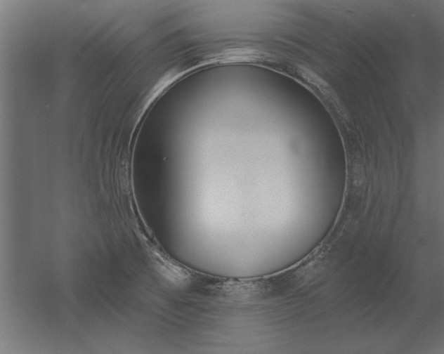 X0000051921473200507011547
