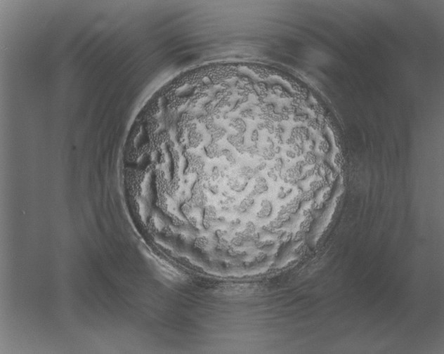 X0000051921474200507011547
