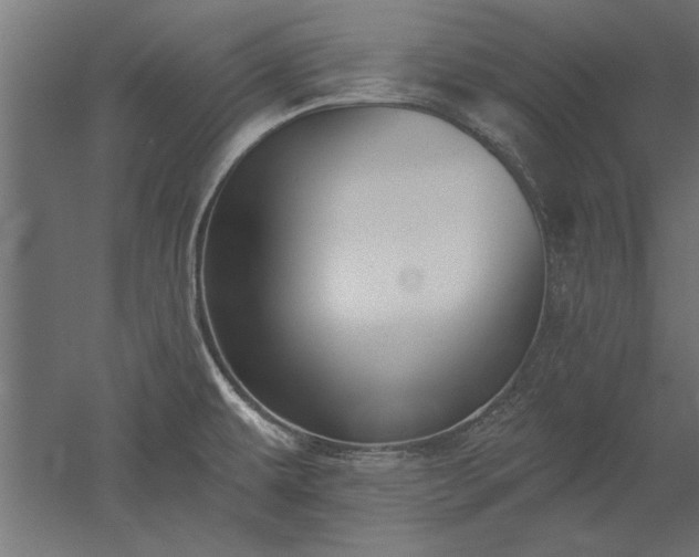 X0000051921479200507011547