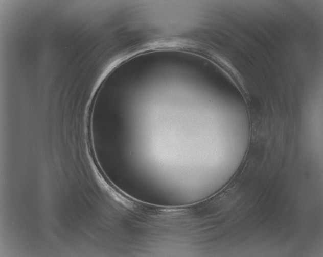 X0000051921483200507011547