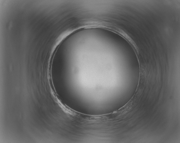 X0000051921485200507011547