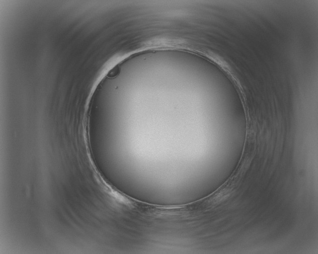 X0000051921486200507011546