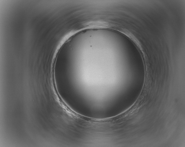 X0000051921488200507011546