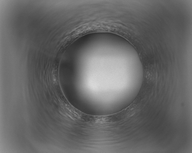 X0000051921490200507011546