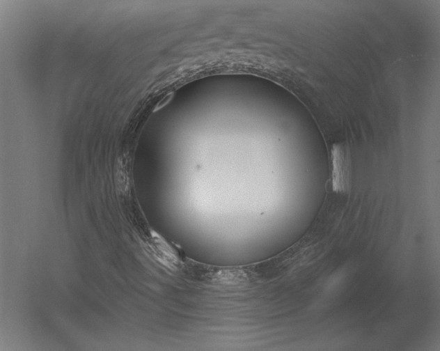 X0000051921491200507011546