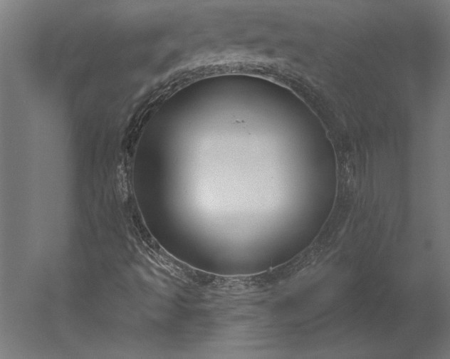 X0000051921493200507011546