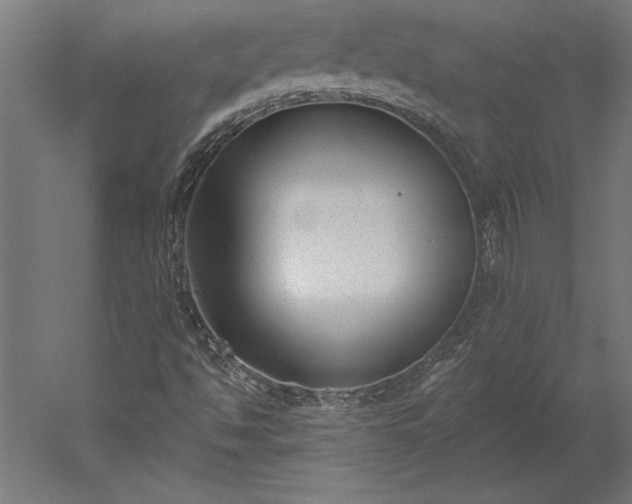 X0000051921494200507011546