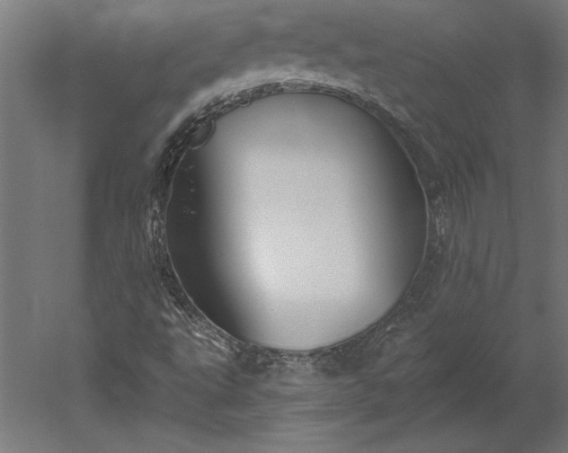 X0000051921495200507011546