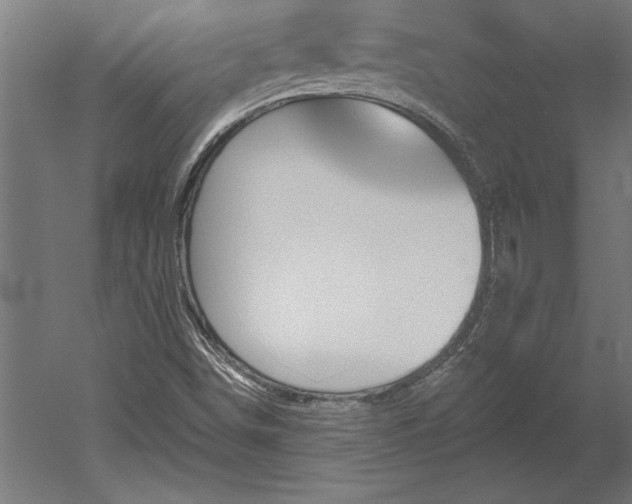 X0000051921498200507011546