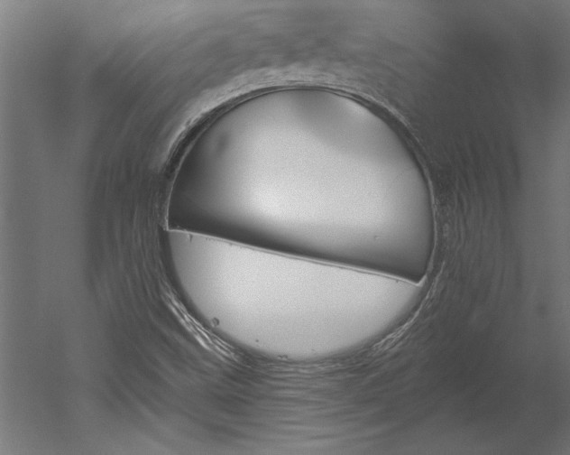 X0000051921499200507011546