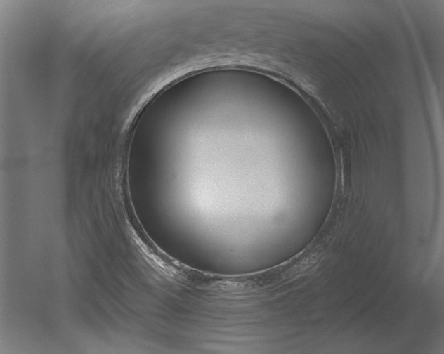X0000051921500200507011546