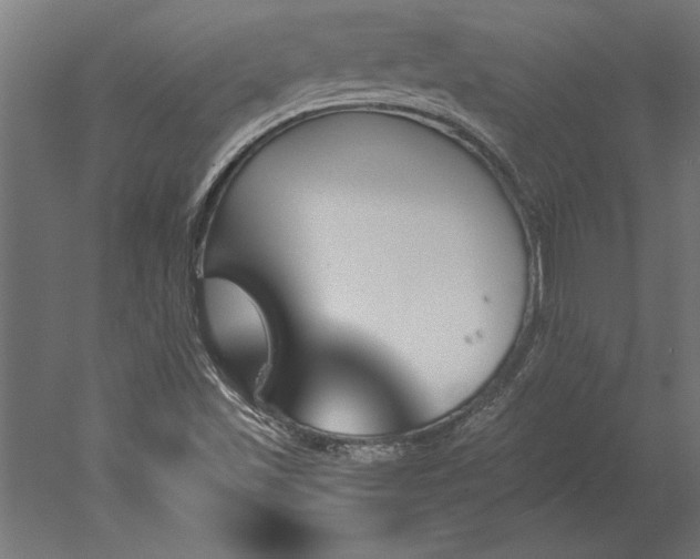 X0000051921501200507011546
